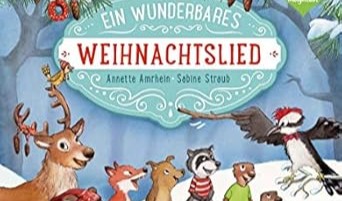 Das Buchcover mit dem Titel Ein wunderbares Weihnachtslied