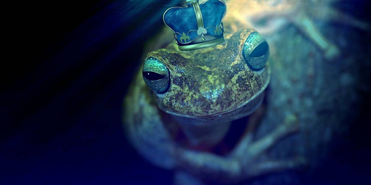 Frosch in einem See, auf dem Kopf des Frosches befindet sich eine gezeichnete Krone.
