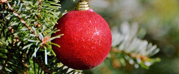 Rote Kugeln mit grünem Zweig