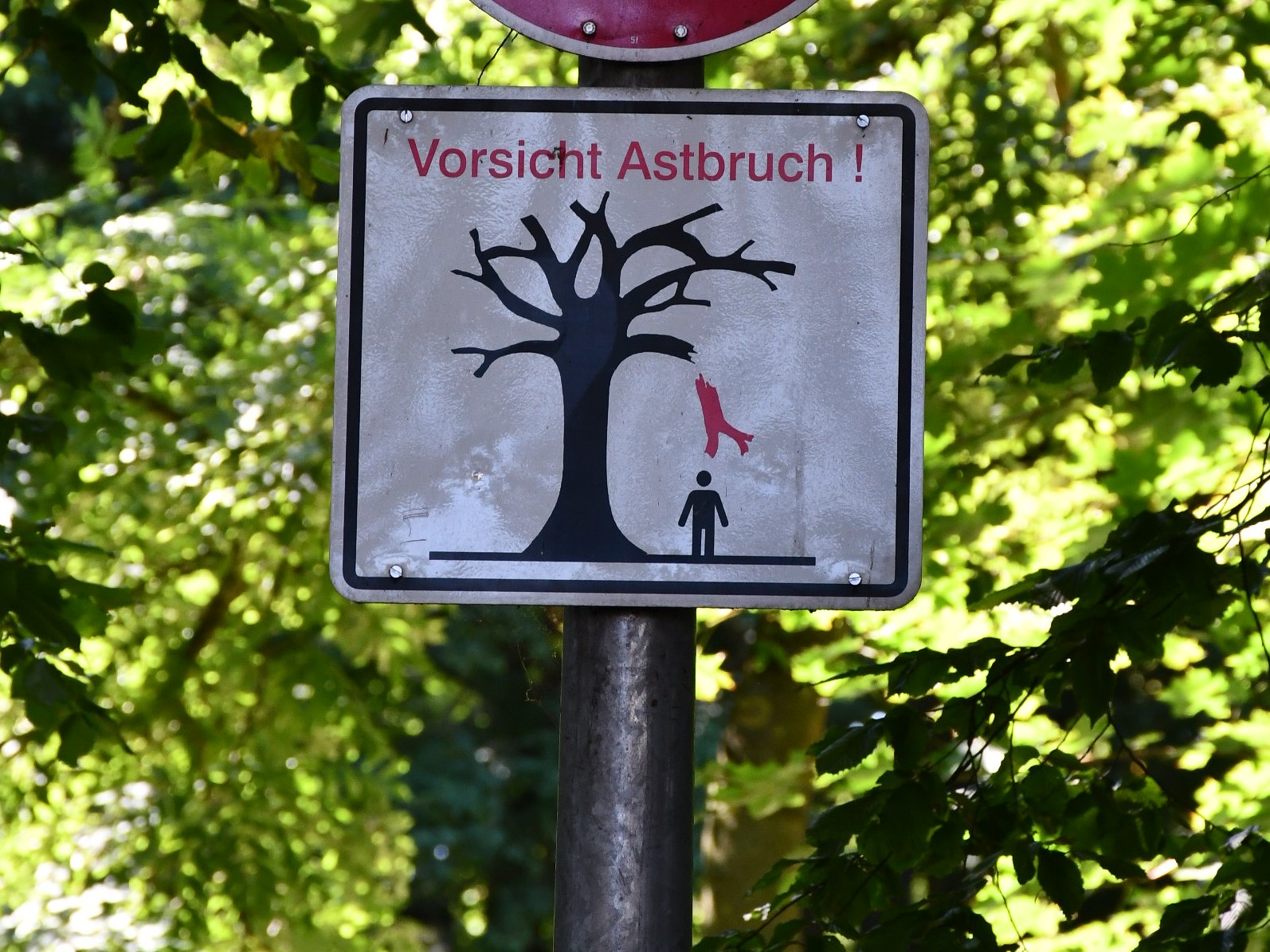 Eine Hinweisschild am Eingang des Parks warnt schon seit Längerem vor der Gefahr von Astbrüchen.