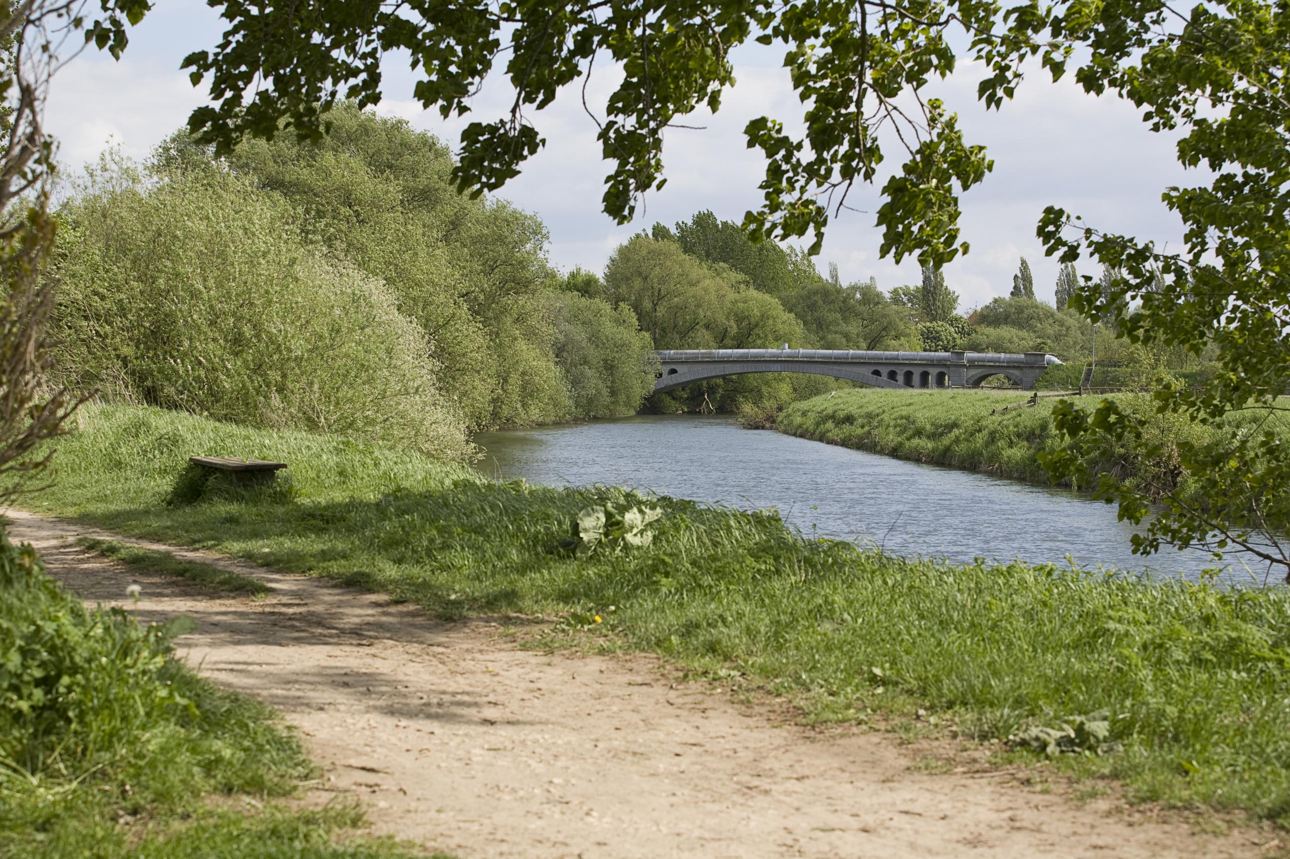 Wanderweg an der Leine, im Hintergrund eine Leinebrücke