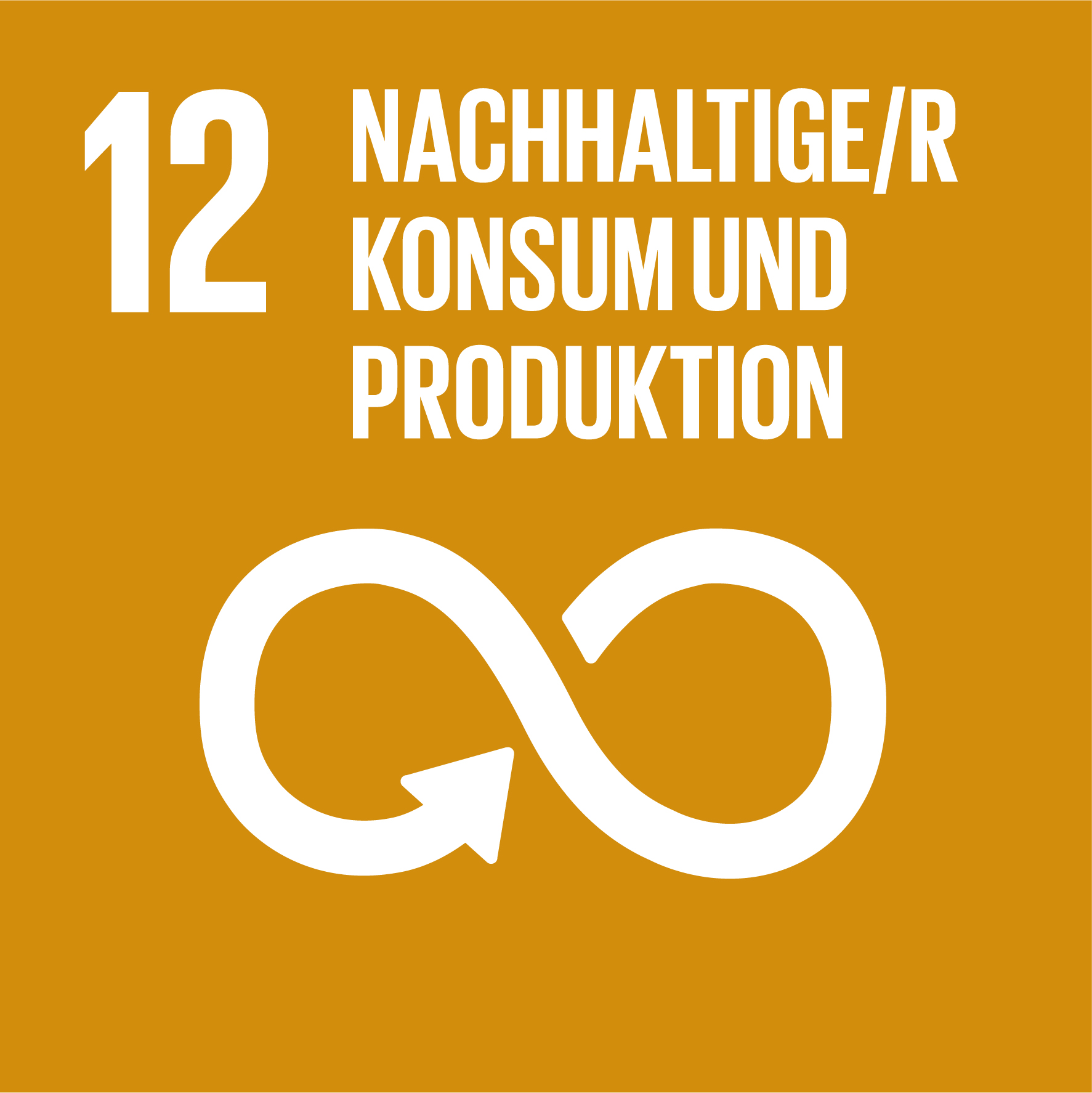 sdg icon de 12