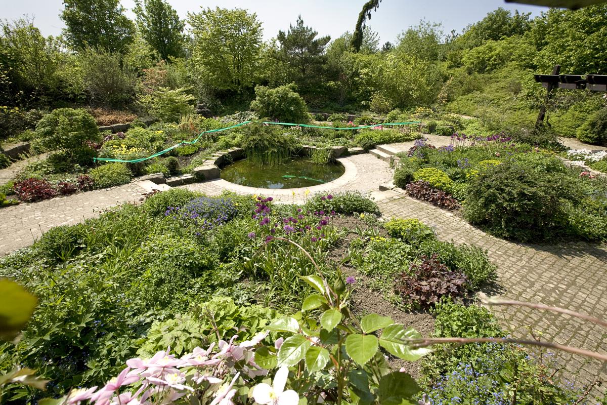 Blumenbeet im Park der Sinne