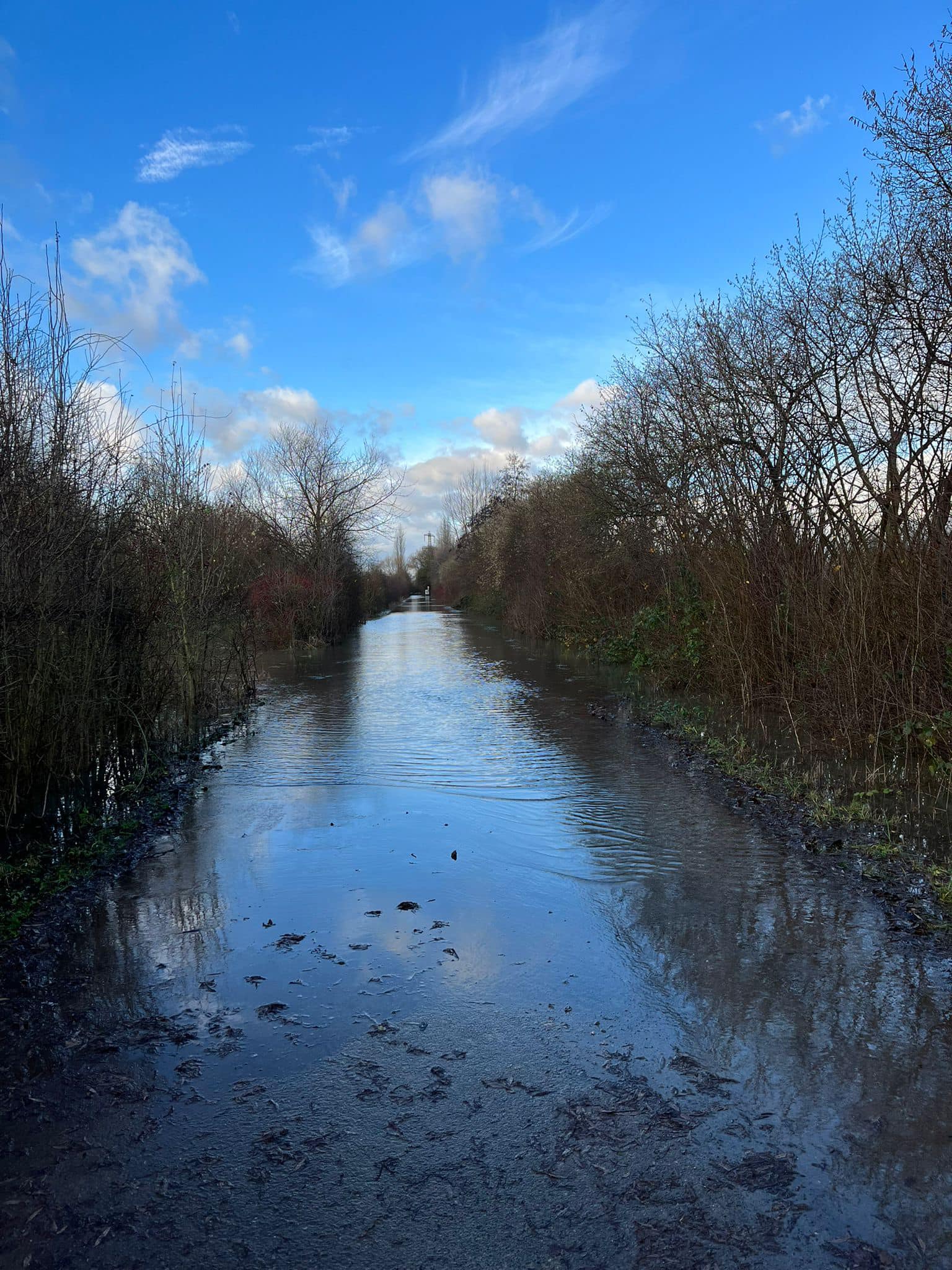 Eine von Büschen gesäumte Straße ist überflutet.