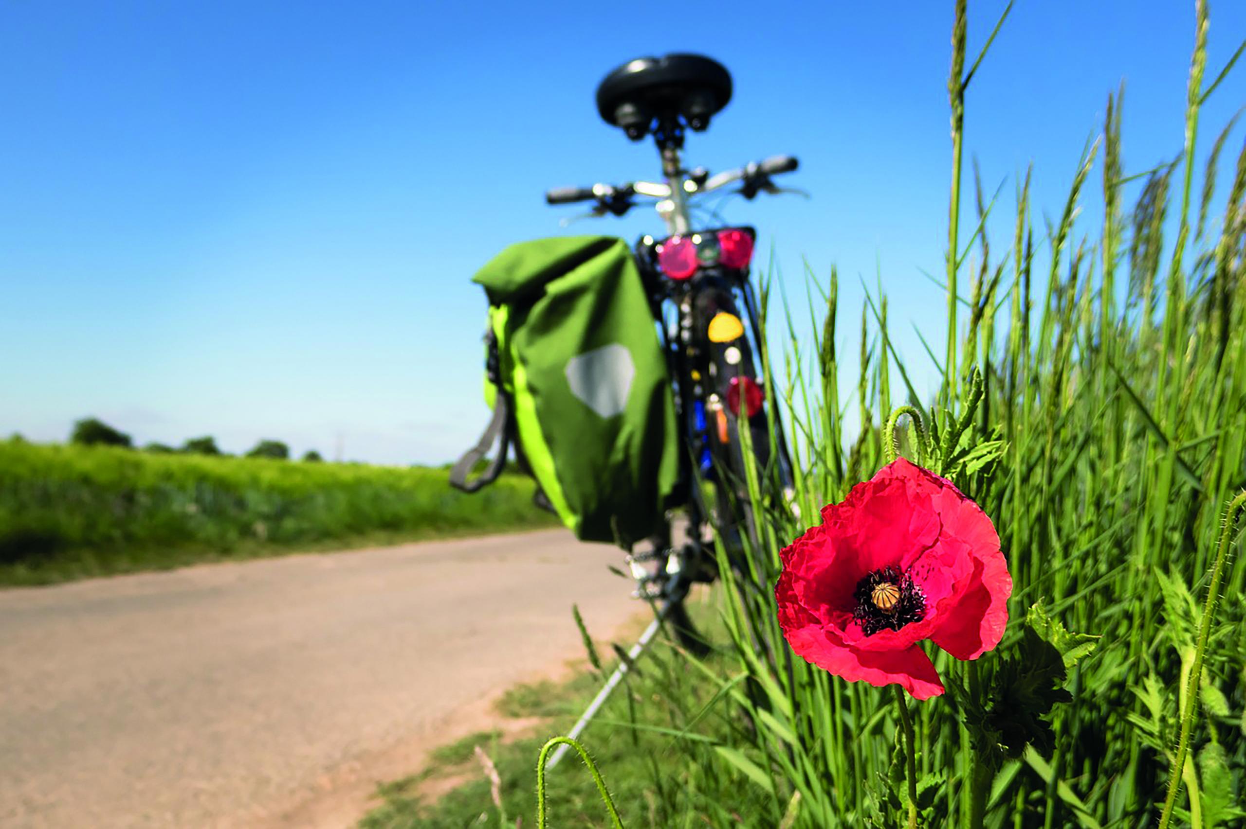 Ein Fahrrad steht auf dem Feldweg. Am Rand des Weges im Vordergrund des Bildes befindet sich eine Mohnblume.