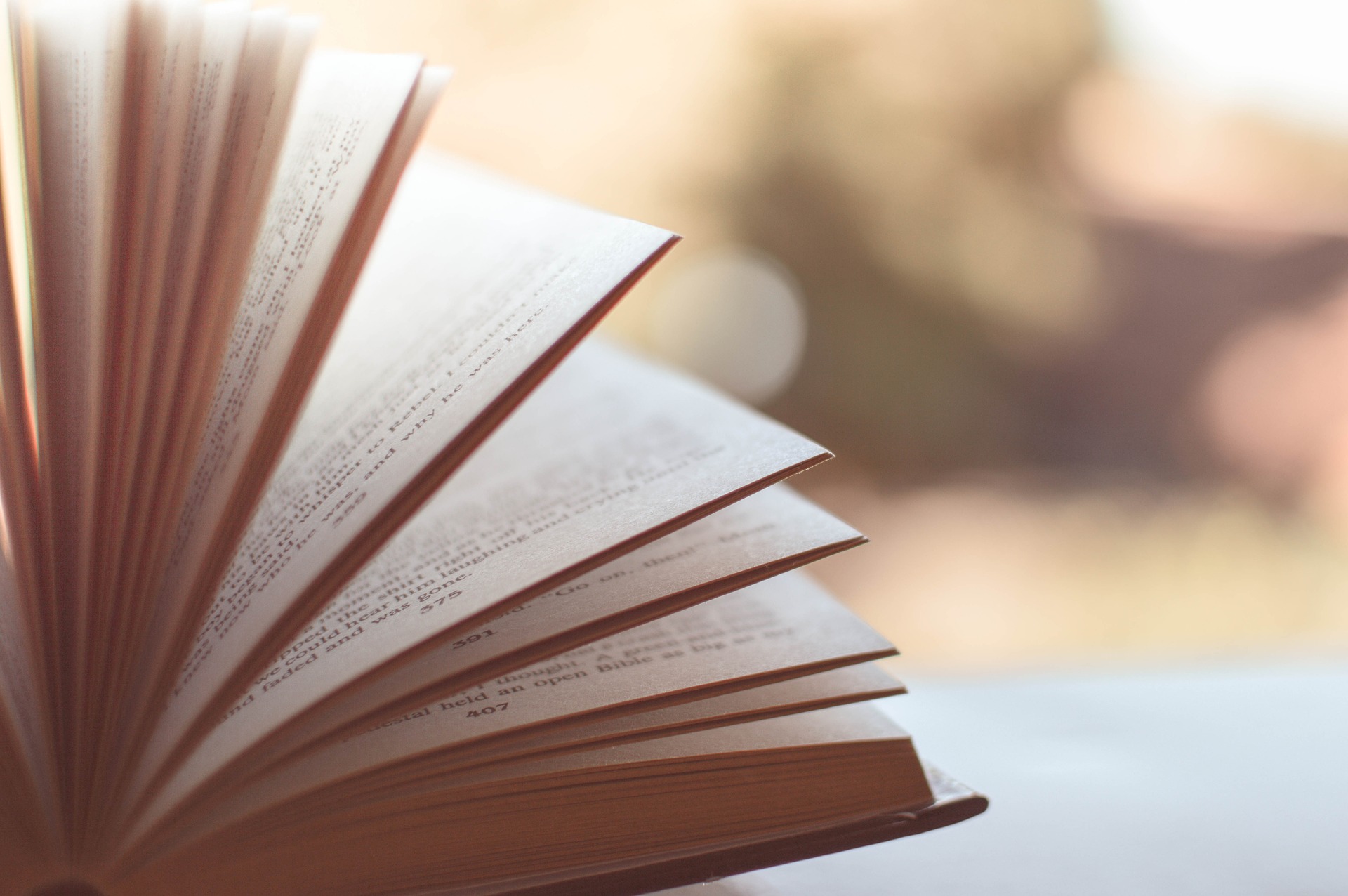 Seiten eines Buches