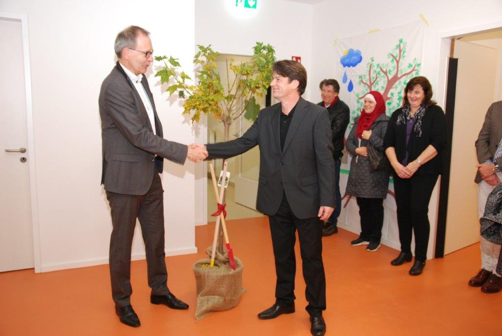 20181106 01 kita ahorn ahorn klusmann