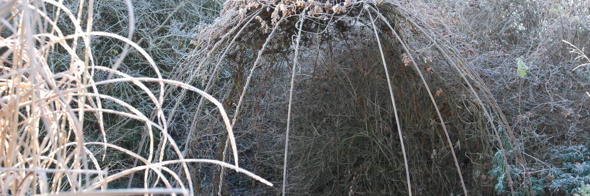 Oavillon mit Frost überzogen. Rechts und links sind winterliche Gräser zu sehen.