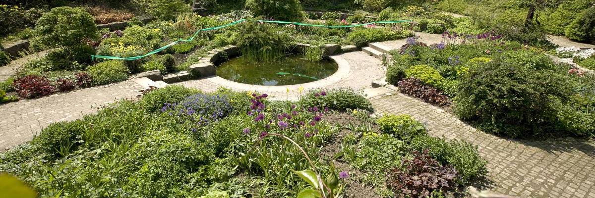 Blumenbeet im Park der Sinne