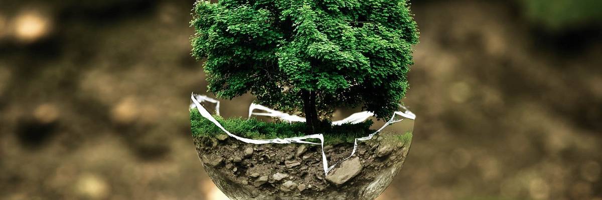 Eine Collage einer Erdkugel, aus der ein Baum wächst.