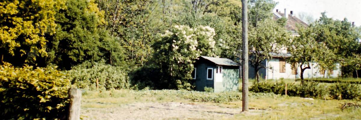 Kleingarten mit grünem Schuppen, im Hintergrund Bäume und Gebäude