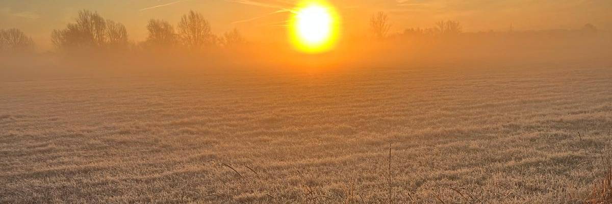 Eine orangefarbene Wintersonne zwischen Bäumen, Im Vordergrund befindet sich eine Wiesenfläche.