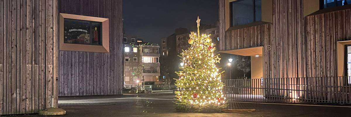Geschmückter Weihnachtbaum szeht auf einer Fläche zwischen zwei Holzhäudern.