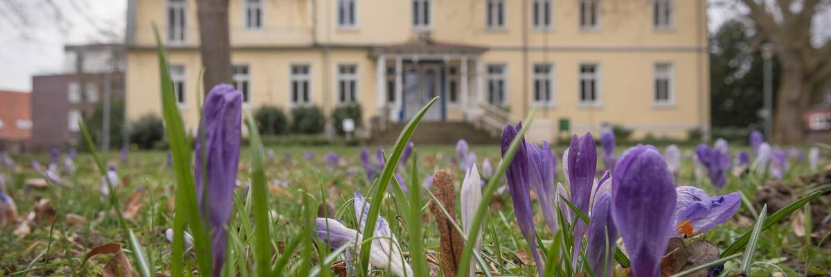 Das Standesamt der Stadt ist im Hintergrund zu sehen. Davor eine grüne Wiese mit blühenden Krokussen.