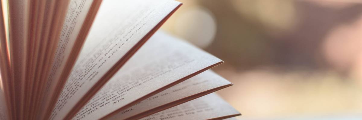 Seiten eines Buches