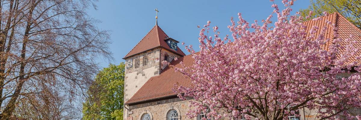 Kirchengebäude mit blühendem Kirschbaum
