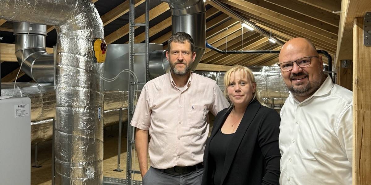 Bürgermeister Kai Eggert (r.) hat in Begleitung von Stadtrat Hauke Schröder und Bau-Fachbereichsleiterin Jessica Kaußen das sanierte Dachgeschoss des Grundschulneubaus in Ingeln-Oesselse besichtigt. © Stadt Laatzen Drei Personen stehen in einem Dachgeschoss auf OSB-Platten und vor den Dachhölzern