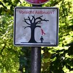 Eine Hinweisschild am Eingang des Parks warnt schon seit Längerem vor der Gefahr von Astbrüchen.