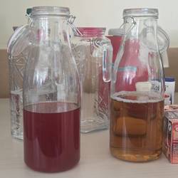 Auf einem Tisch stehen zwei Flaschen mit Apfelsaft. Ein Inhalt wurde mit roter Farbe gefärbt.