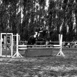 Reiter springt über ein Hindernis