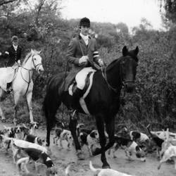 Zwei Reiter und Hunde