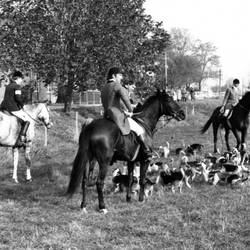 Drei Reiter und Hunde