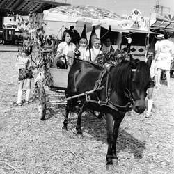 Kinder im geschmücken Pferdekarren bei einer Veranstaltung