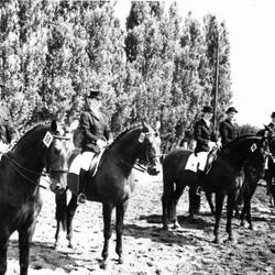 Sechs Reiter min nummerierten Pferden