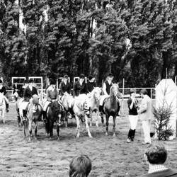 Eine Gruppe von Reitern auf einer Reitanlage