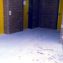 Ein Foto einer Bilderserie von einem Vandalismusangriff auf eine Schule