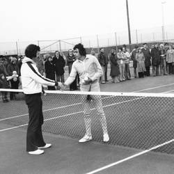 Zwei Tennisspieler geben sich am Netz die Hand