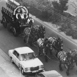 Pferde ziehen Festwagen mit Aufschrift "Hofbräuhaus Wolters" durch eine Straße