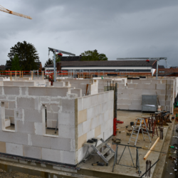 Bauingenieur/in oder Architekt/in für die Projektsteuerung von Hochbaumaßnahmen (m/w/d)