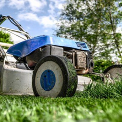 Gärtner/in für die Mähkolonne (m/w/d)