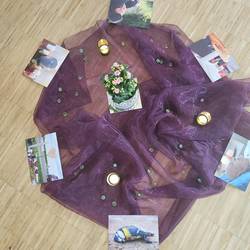 In der Mitte des Sitzkreises wurde mit Decken, einer Blume und Bildkarten zum Thema eine Mitte gestaltet.