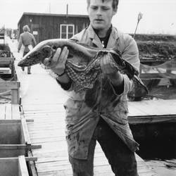 Mann steht auf einem Steg und hält einen Fisch in der Hand