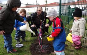 Vier kleine Kinder stehen mit ihrem Erzieher an einem frisch gepflanzten Baum und gießen diesen.