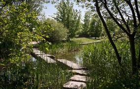 Sonnenbeschienener Weg