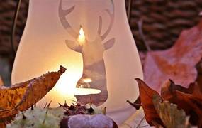 Eine Laterne, die eine Gravur eines Hirsches hat, steht auf Herbstlaub.