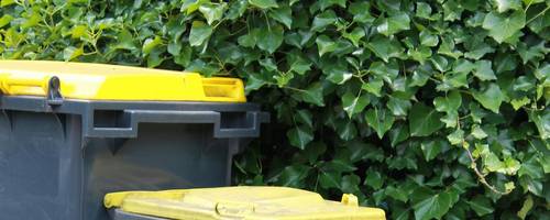 Zwei Tonnen mit gelben Deckeln stehen vor einer grünen Hecke.