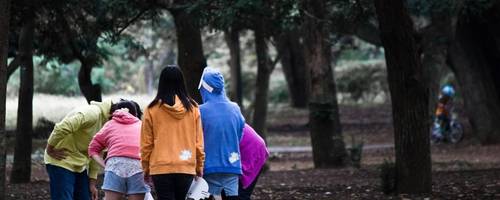 Teenager im Wald, alle mit bunten Jacken bekleidet