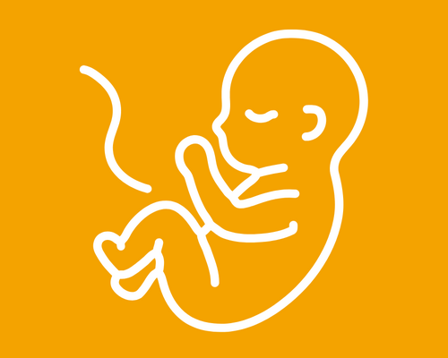 Informationen zu Babylotsinnen