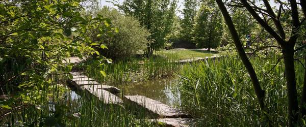 Sonnenbeschienener Weg