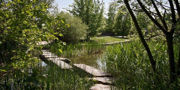 Sonnenbeschienener Weg